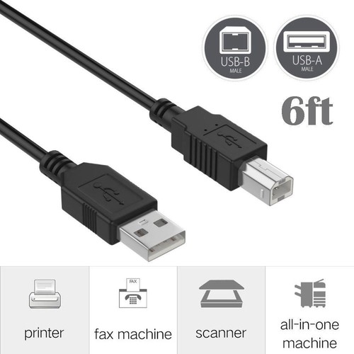 Cavo usb piedi - piedi,
